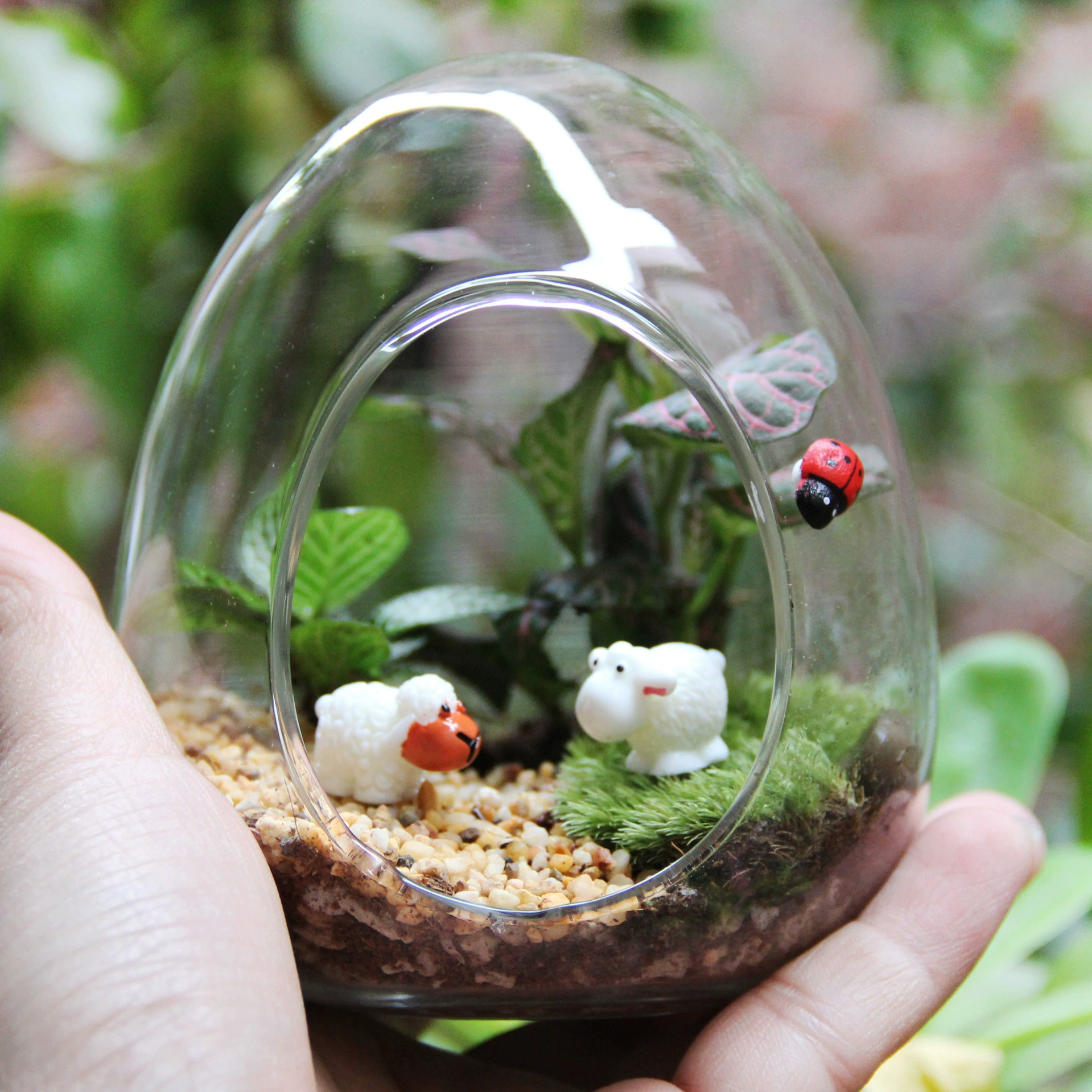 Креативный подарок мох микро пейзаж ландшафтный дизайн бутылка костюм небольшой размер яичный костюм эко бутылка подарок DIY материал