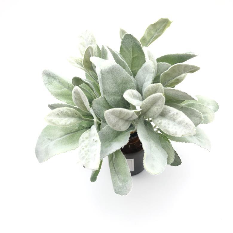 2021-07-21 180721.jpg