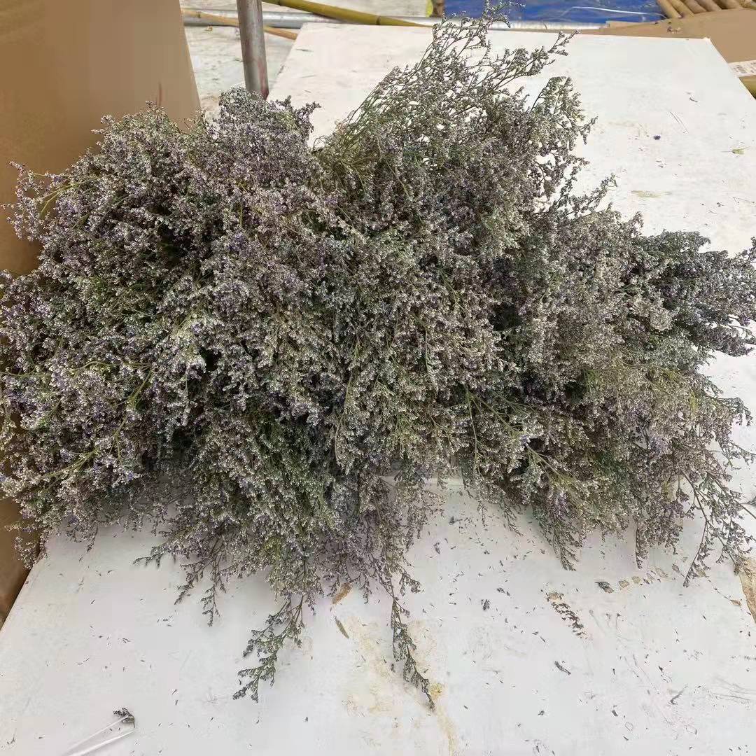 微信图片_20220306103154