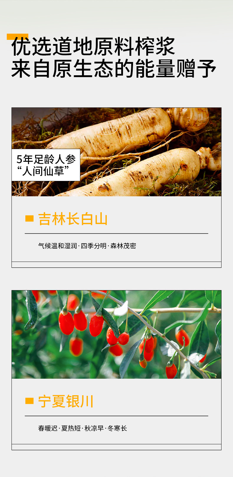 Ginseng Goji Berry Original Paste 10 Sachets 300mL Gift Box Herbal Wellness Drink key features
