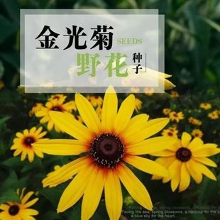 ���l���ջ��N�ӻ��ܷN�Ӷ������ݱ��ﲥ�ջ��ݷN�ӻ����^��ֲ��