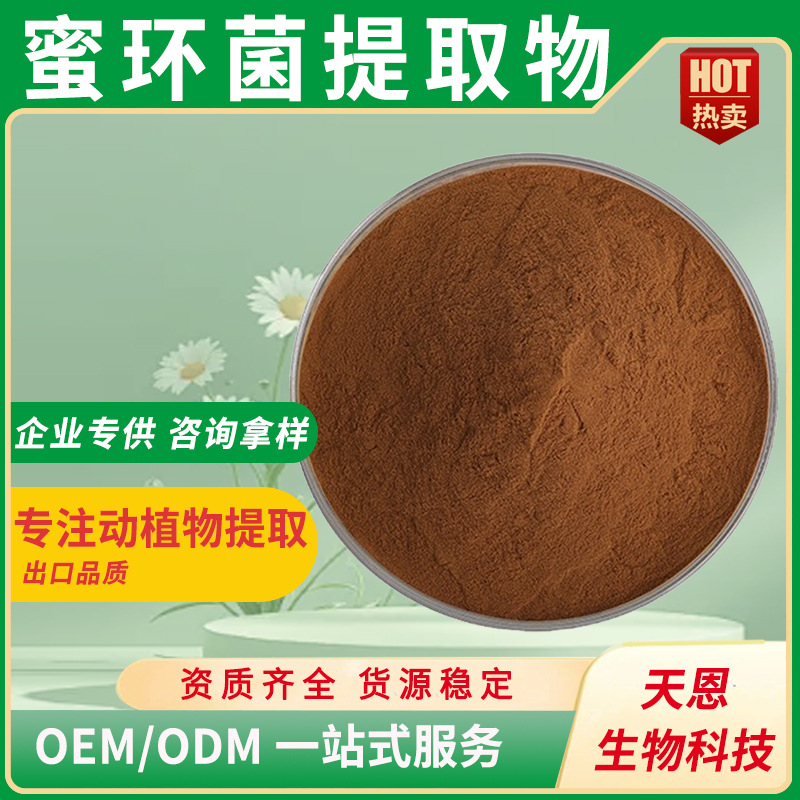 蜜环菌提取物 10:1 水溶蜜环菌粉 蜜环菌多糖 榛蘑浸膏粉品质保证