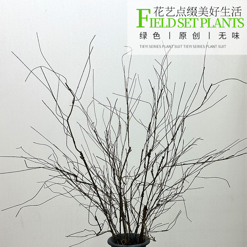 仿真枯藤枯树枝藤条装饰干树枝室内蔓藤假绿植壁挂装饰树藤花藤