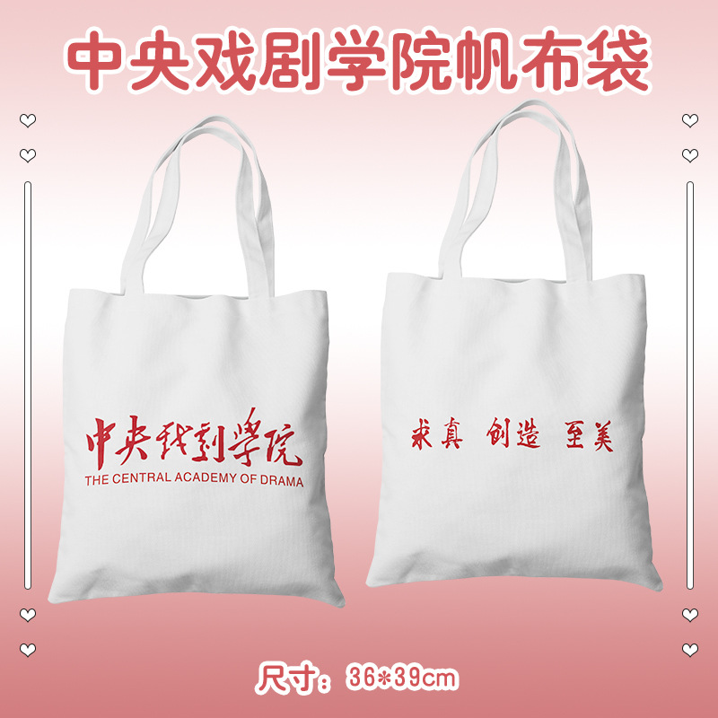 藝術類院校帆布袋 北京電影廣州美術上海戲劇學院書包單肩手提包