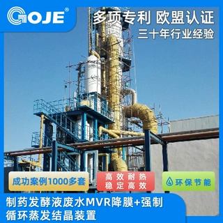 厂家制药发酵液废水MVR降膜+强制循环蒸发结晶立式装置废水处理