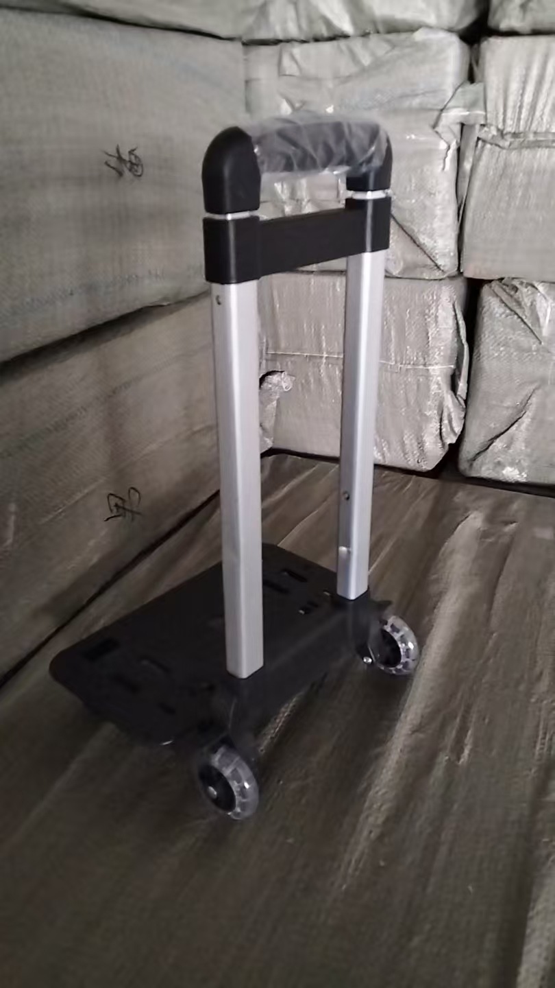 남성용 2륜 트롤리