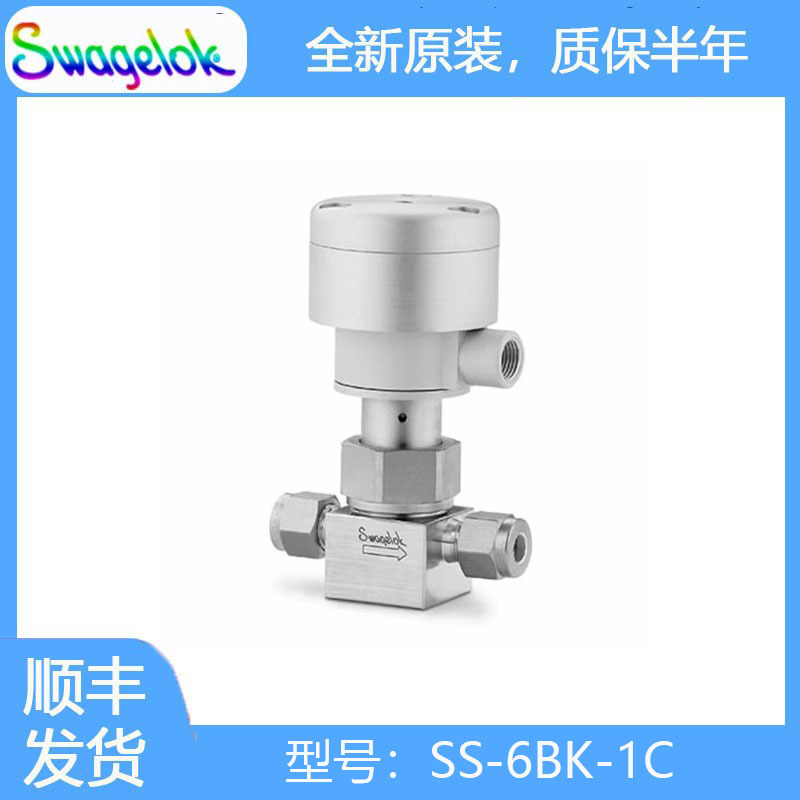世伟洛克(SS-6BK-1C) 不锈钢波纹管密封阀，有垫片，PCTFE 阀杆头