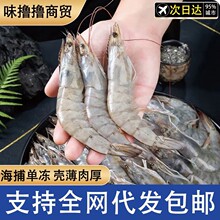 厄瓜多尔白虾大虾速冻盐冻2030南美白虾基围虾海虾对虾类海鲜批发