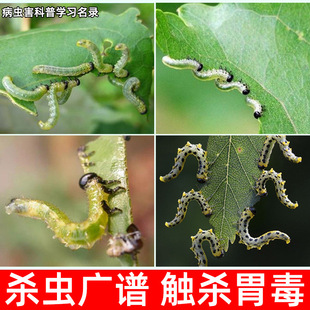 �¼����x�����xș���\��Ч����������������x���x���x���x���x