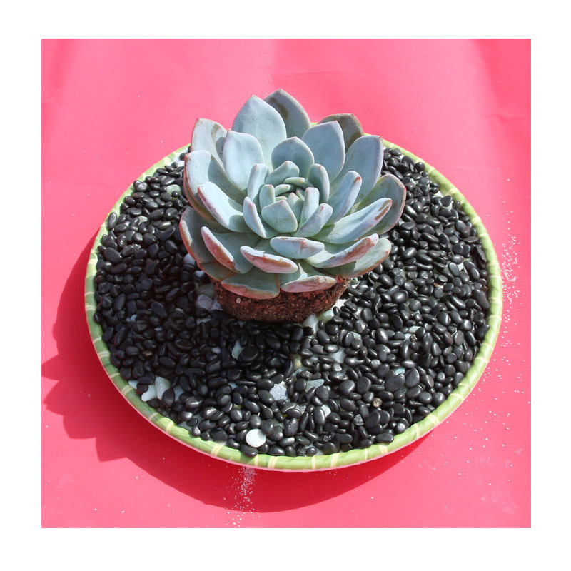 2-4mmɫղɳ | ɫ ݷɽɽݸֱ﹩Ӧ