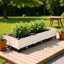 �̨�N�˼��÷Nֲ��Ӻ��L�����߲˻���M��ʽ��ɫ���ϷN�ˌ�����