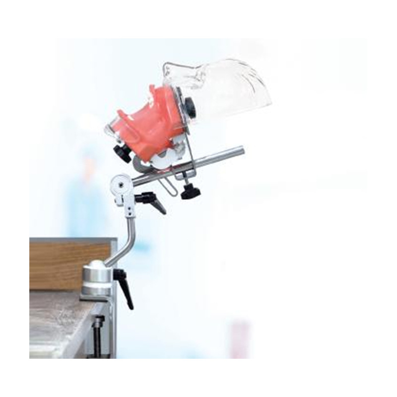 Modelo de simulación dental simple de modelo de práctica de enseñanza oral tipo reposacabezas modelo de cabeza simple de sujeción de mesa modelo de simulación de cabeza image 34