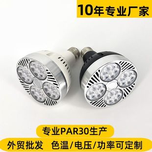 Заводская прямая продажа LEDPAR30 RAIL SHARTER Lights Store Store Par Light E27 Light Head Paubo Condensed Par30 Spotlight