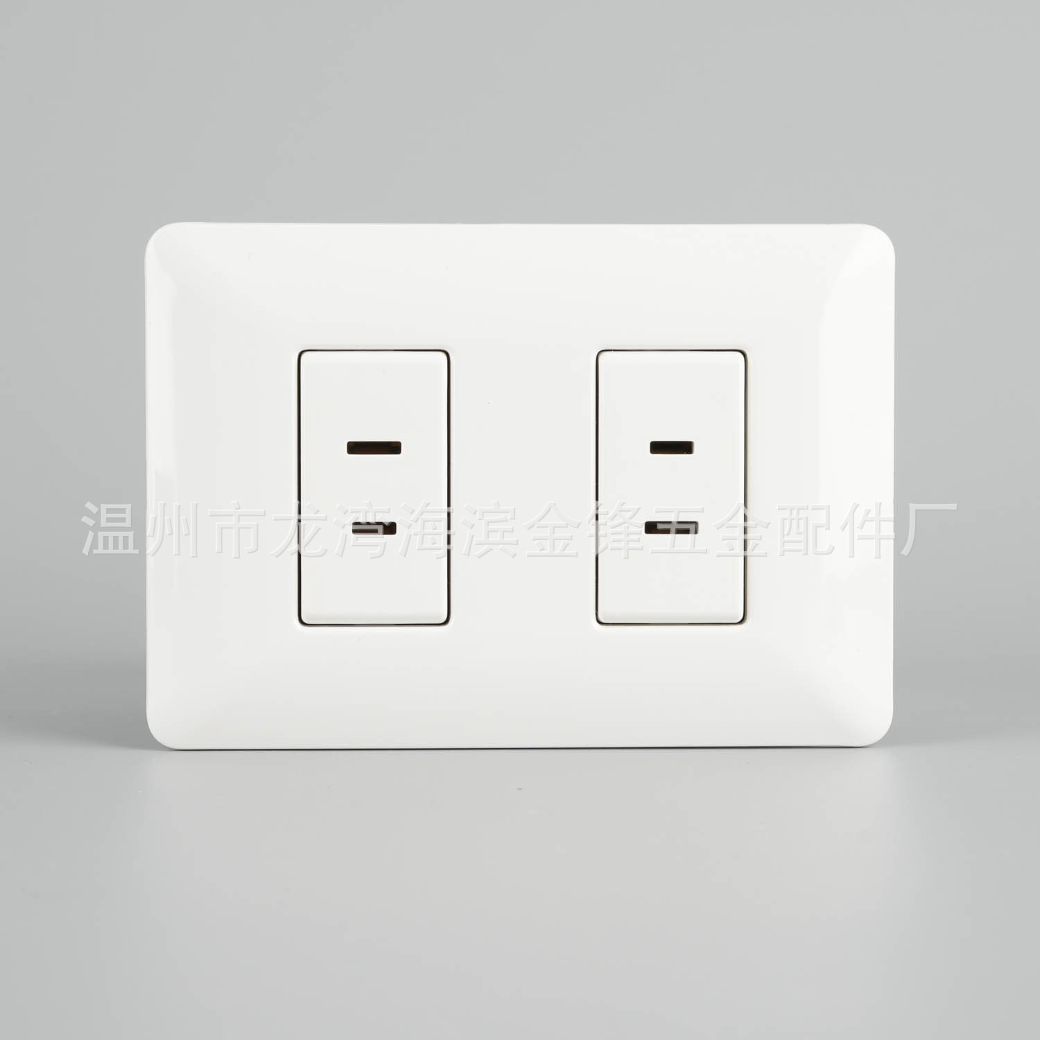 2 puertos socket plano