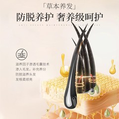 中暨佳創防脫洗髮水草本植物人參何首烏控油去屑固發止癢蓬鬆滋養