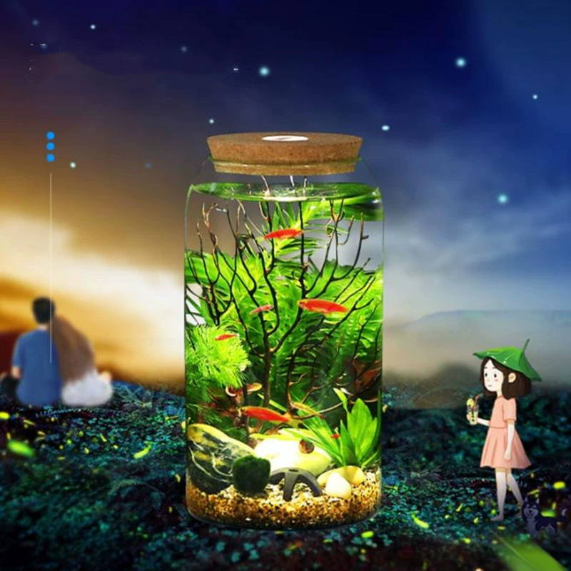 Утолщенная экологическая бутылка для микроландшафта из мха из боросиликатного стекла со светодиодной подсветкой для озеленения растений с пробковой герметичной банкой