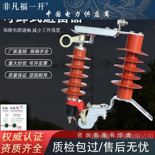 Removable lightning arrester HY5WS-17/50-45DL-TB outdoor high pressure drop type zinc oxide lightning arrester