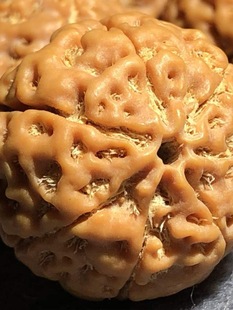 ����ԭ���SƤ�Ჴ�����������C�M�������������ִ����߰˾Ű�