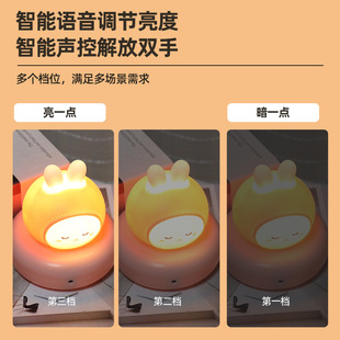 ������Сҹ��˯�߿ɶ��r�_�P��������Сҹ��usb��ҹι���Z��