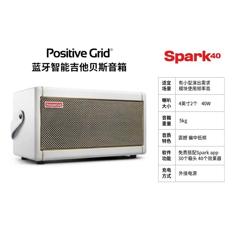Зарядная Bluetooth-колонка PositiveGrid Spark Mini 40 для бас-гитары и записи звука с баса