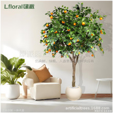 ���Q�羳��Ʒ؛Դ����Gֲ������Ә��辰���޾Ƶ�䁙����Ҿ����
