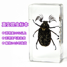 ä�Ё��R�d�����Ʒ�挍���x�˱�������͸����֬�̌W�þ߶YƷ