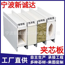 工厂加工无尘车间净化板中空玻镁彩钢板a级防火夹芯板非标定制