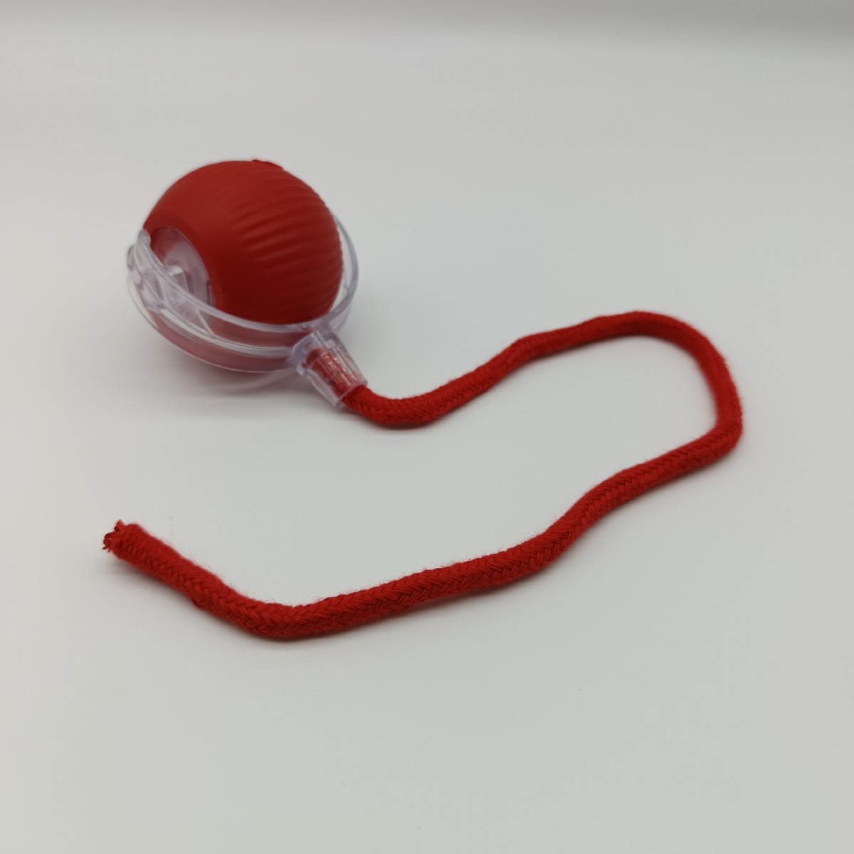 2024-10-07 16:20:00.jpg