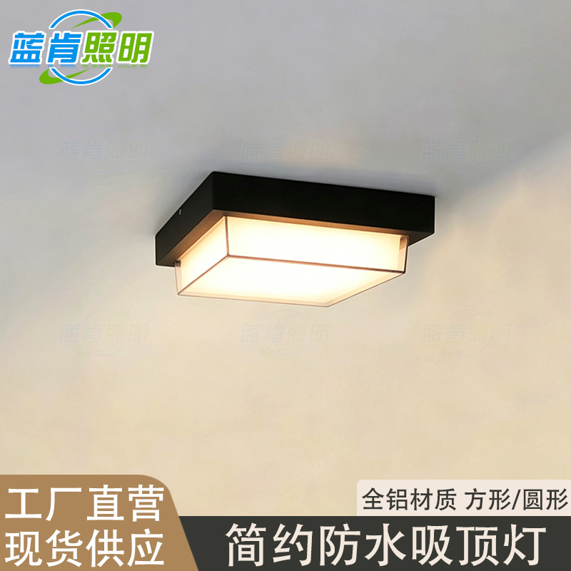 Lámpara de Techo LED para Exterior de Aluminio y PC para Pasillo y Balcón