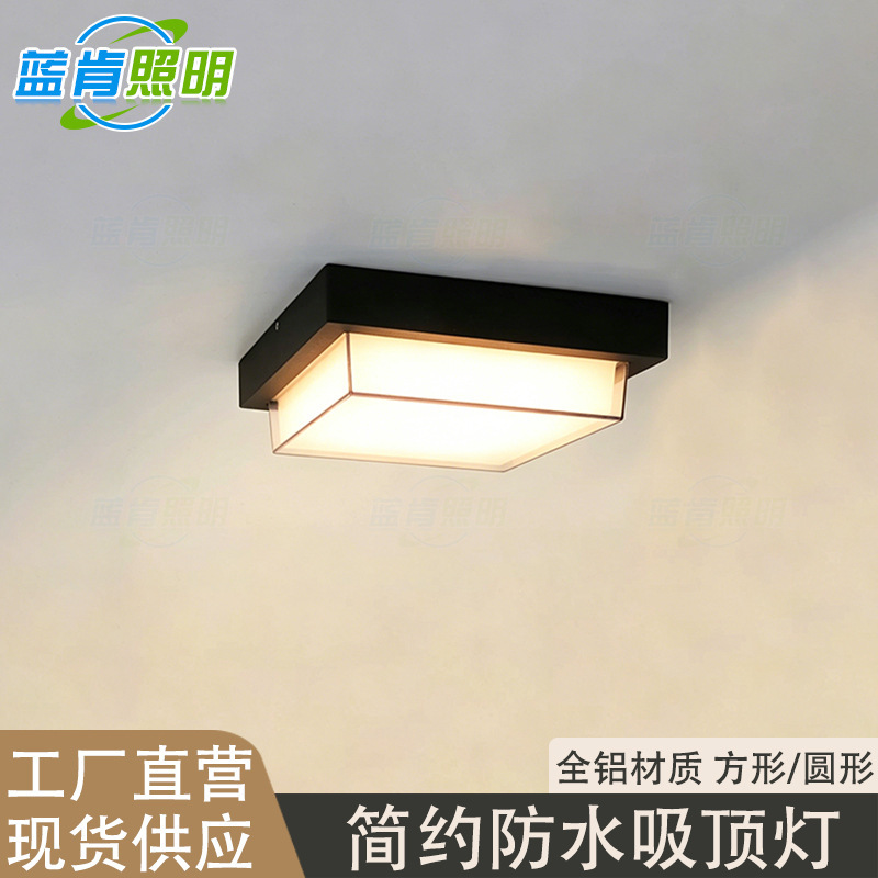 Outdoor Ceiling Lamp Waterproof Courtyard Entrance Entrance Entrance Living Room Corridor Corridor Terrace Eaves Balcony Ceiling Lamp Outdoor Ceiling Lamp Waterproof Courtyard Entrance Entrance Entrance Living Room Corridor Corridor Terrace Eaves Balcony Ceiling Lamp