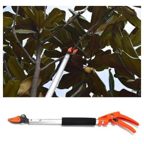 批发摘果剪长柄修枝剪可伸缩园艺工具高空采摘工具枇杷苹果摘果剪