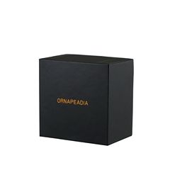 ORNAPEADIA Brand Exquisite Gift Packaging Set for Bracelets, Earrings, Necklaces, and Accessories