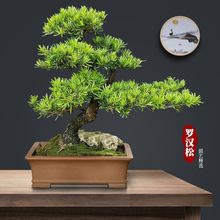 �_�h��������������ȸ��Gֲ�̨����ͥԺ�լ�Ϙ����͸ߙn�辰