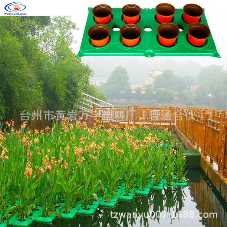 Водная Канна Сибирский ирис желтая река Каламус плавающей ложе водного растения муниципальное озеленение рек