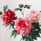 Peony Flower Artificial Flower Artificial Flower Silk Flower Living Room Decorative Flower Plastic Flower Ornaments Dining Table Ornaments Floriculture Flower-arranging bouquet