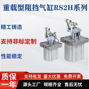 ��ˮ����������RS2H50 63 80-30BM-D-40DL-BL-DM-TL-TMֹ�Ӛ��
