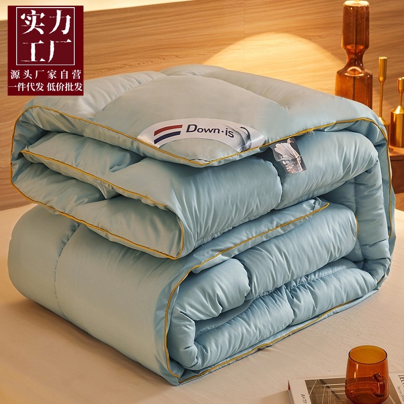 New fiber quilt thickened warm gift quilt spring and autumn quilt feather silk quilt winter quilt thick quilt core group purchase cross-border wholesale