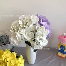 5�^�������l��̨��c���żҾӾƵ�ӭ�e�����b��滨���ܸ߷���