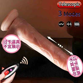 仿真阳具;后庭用品;其他情趣用品