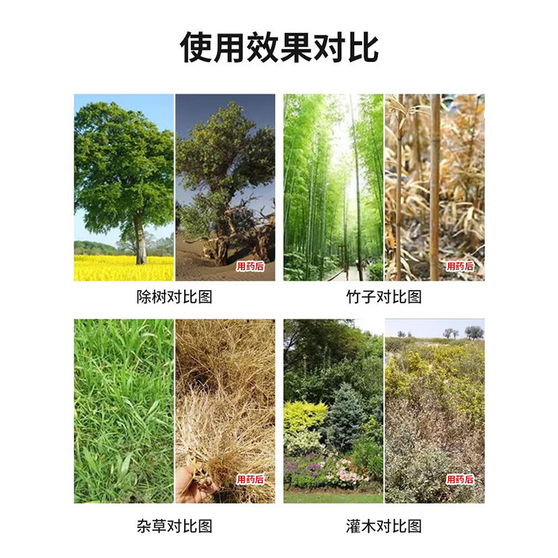 木の粉を滅ぼして根の粉を滅ぼします。|undefined