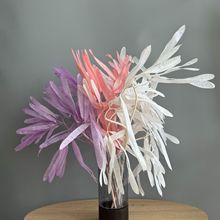 �������ⶹ�Ϛg���v���A�ɻ��������ļҾӻ�ˇ�bS�����l������