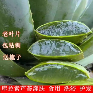 �������J�C�~Ƭ�ɳ����r�J�C����Ժ���w�J�C�Gֲ�����J�C��Gֲ