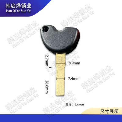 Suitable for Italian Piaggio Motorcycle Key