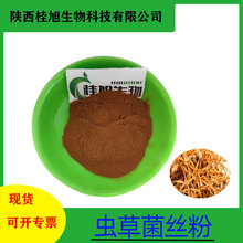 虫草菌丝粉虫草菌丝体粉 kg装 桂旭生物 现货包邮