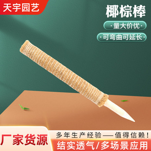 Ҭ�ذ� �S�ҹ�����ƴ��ֲ�����������������@ˇ����֧����Ҭ�ذ�