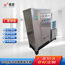 小型臭氧发生器医院食品车间消毒机泳池养殖水处理杀菌臭氧发生器