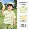 Y11271 green and white strips