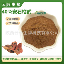 安石榴甙石榴皮提取物水溶65995-63-3Punicalagin10%~40%安石榴甙