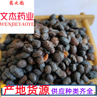 ������ș�ĬF؛����������500�ˌ����Ĕz���Ă�ș�I������������