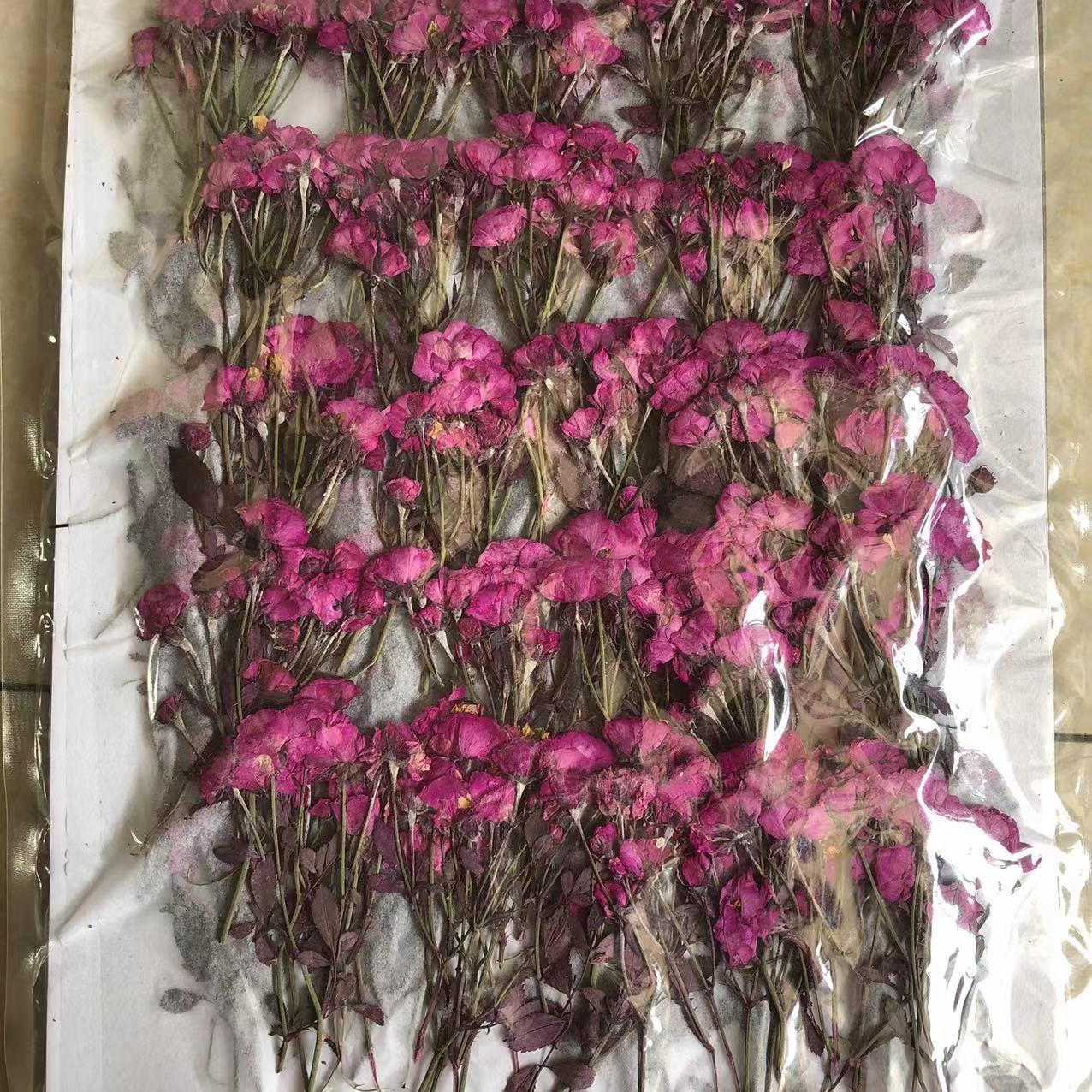 8d14095fcd57ba9a89a7cd305e6884